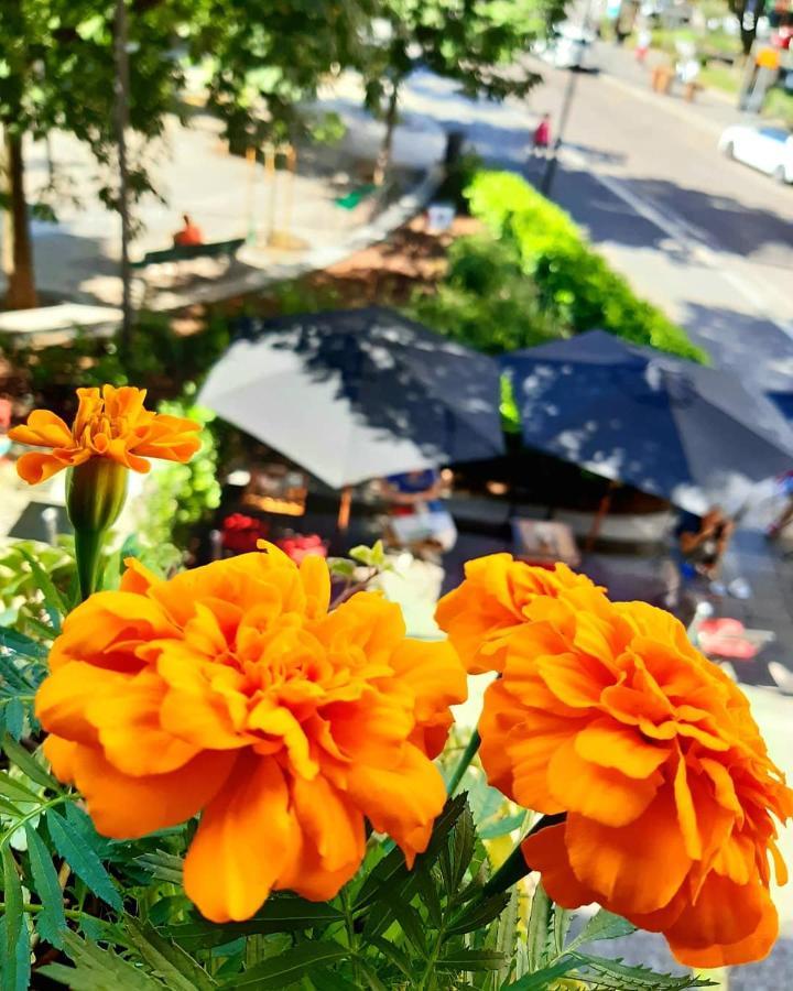 鲁姆住宿加早餐旅馆 米兰 外观 照片